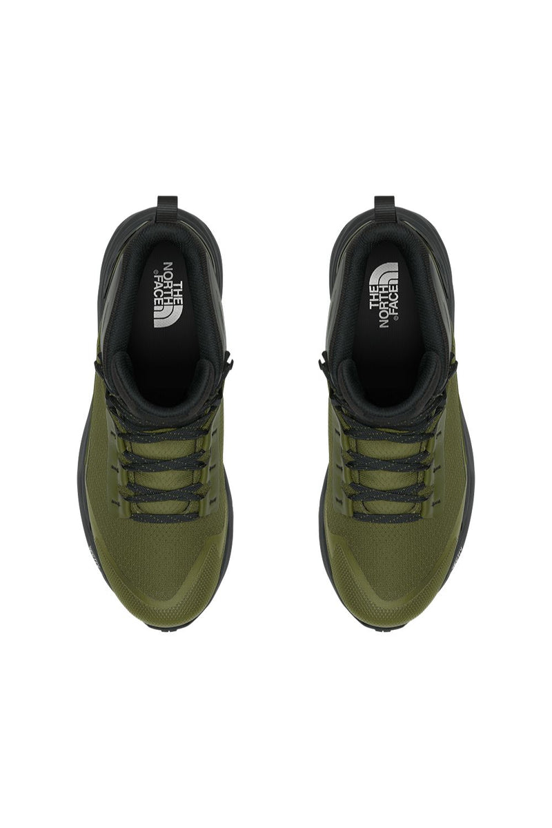Forest Olive